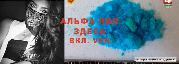 СК Бронницы