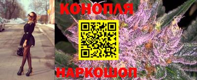 спайс Аргун