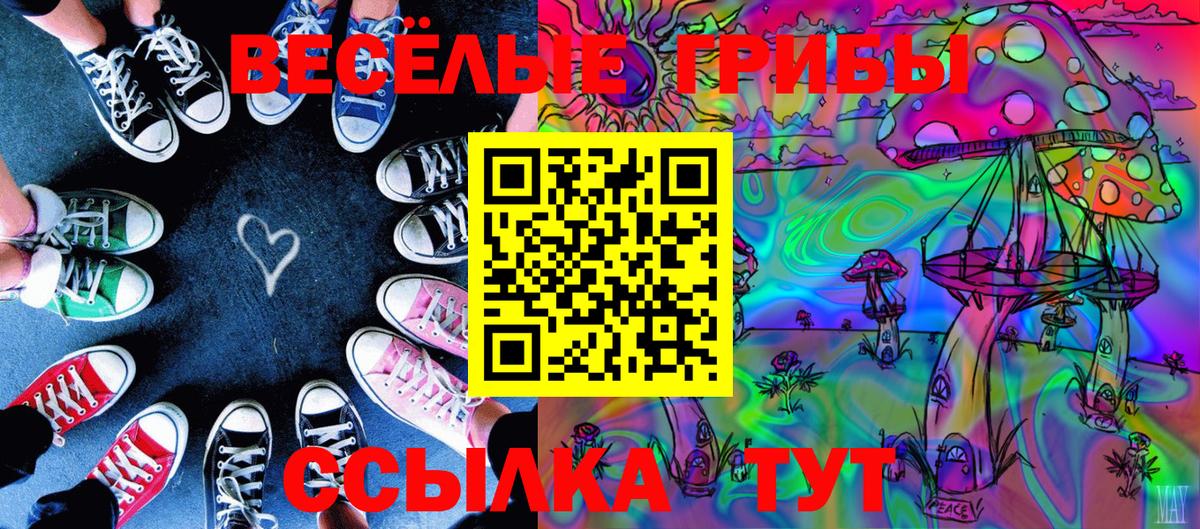 Бугуруслан  Псилоцибиновые грибы Cubensis  сколько стоит  Вход с VPN 
