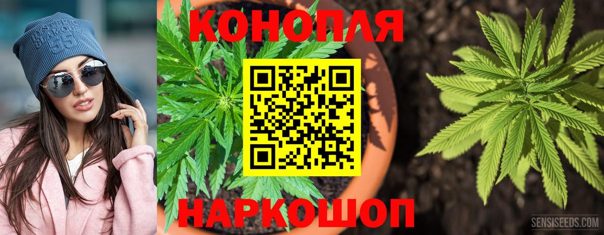 Бугуруслан  Марихуана ГИДРОПОН  Бошки Шишки Bruce Banner  Вход с VPN  Марихуана сатива 